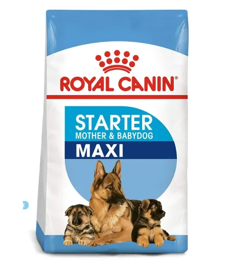 Starter royal best sale canin maxi